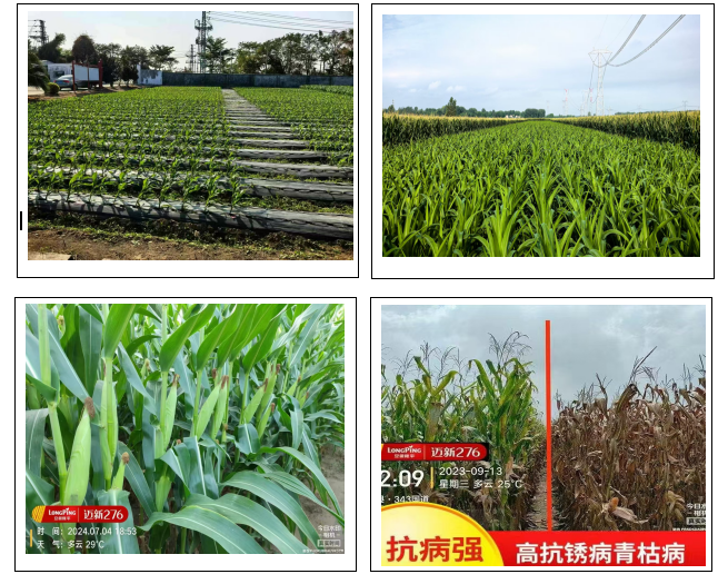 1747639840321918.png 22.png